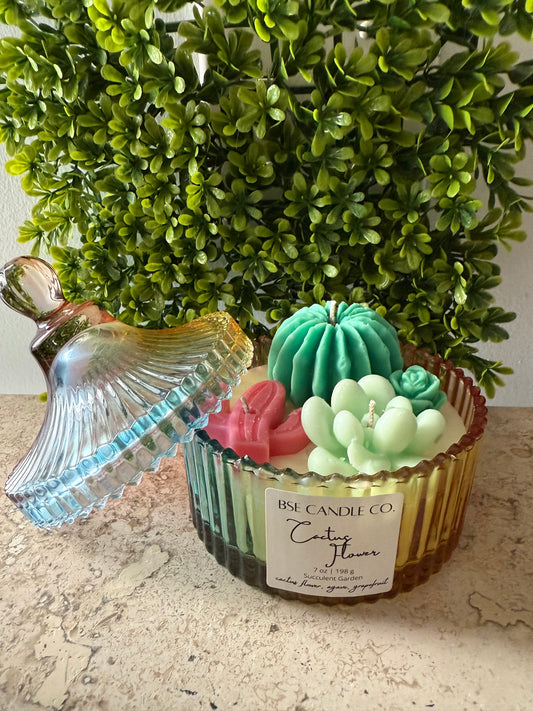 Succulent Candles in Rainbow Carousel