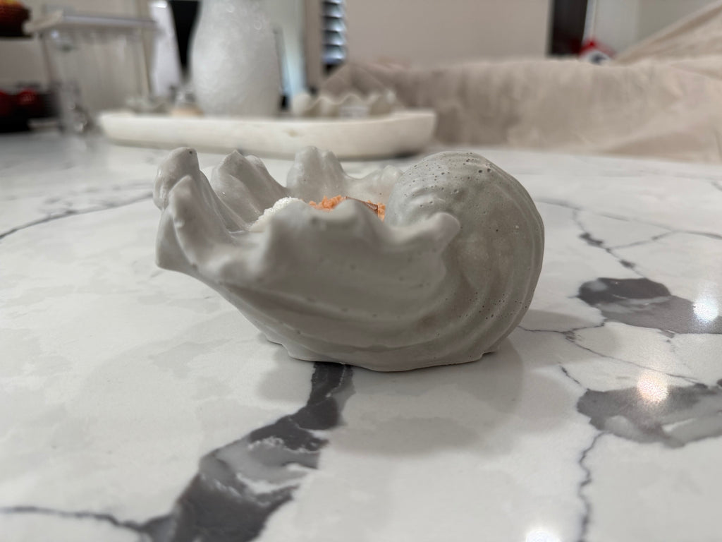 Small Sea Shell Cement Candle