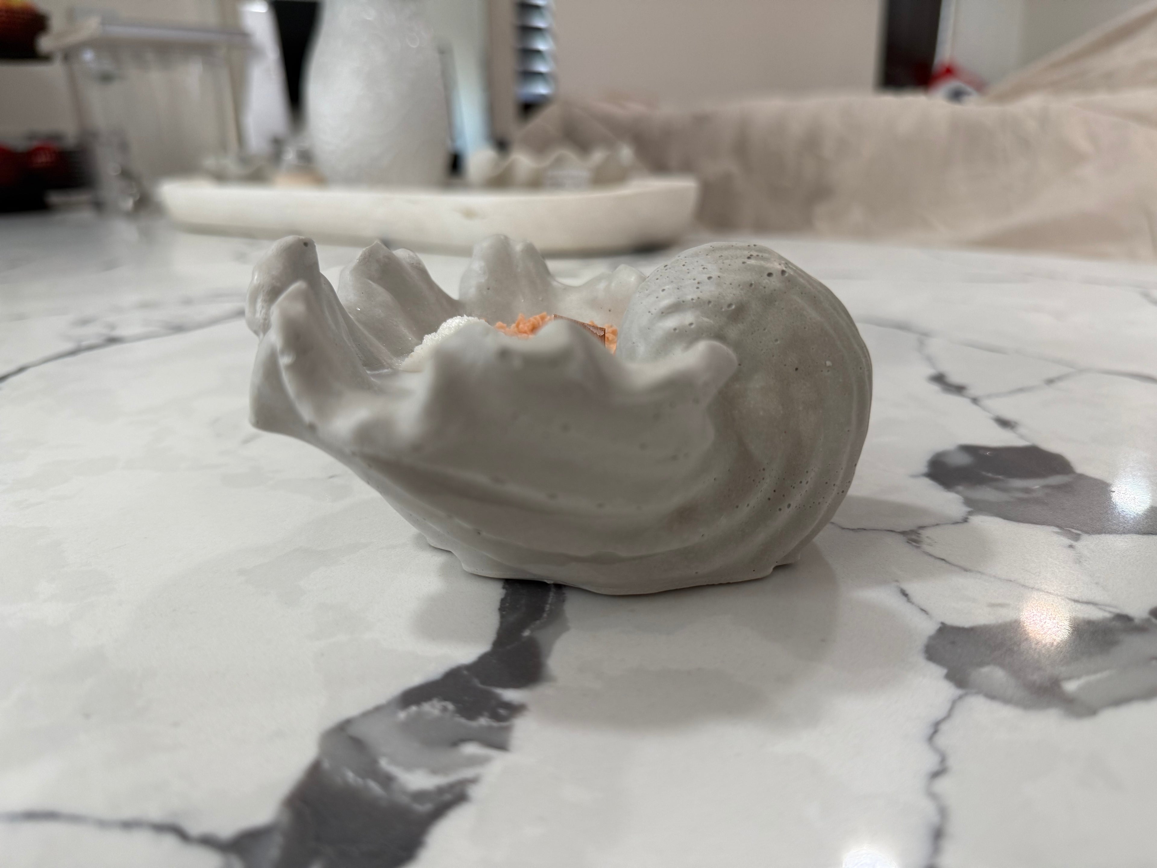Small Sea Shell Cement Candle