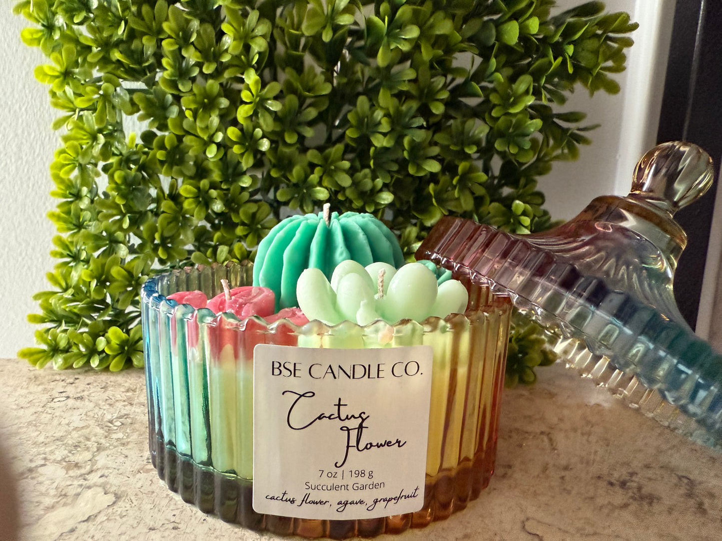 Succulent Candles in Rainbow Carousel