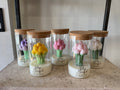 Tulip Bouquet
